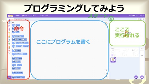 実験画像2