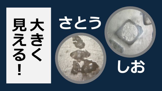 レーウェンフック顕微鏡
